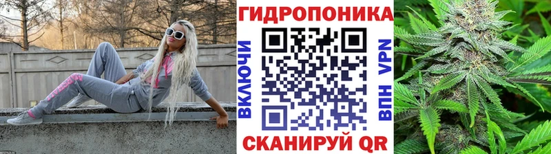 Канабис OG Kush Волгореченск